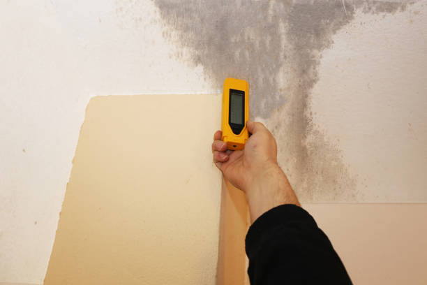Best Mold Remediation for Healthcare Facilities  in Ranchester, WY