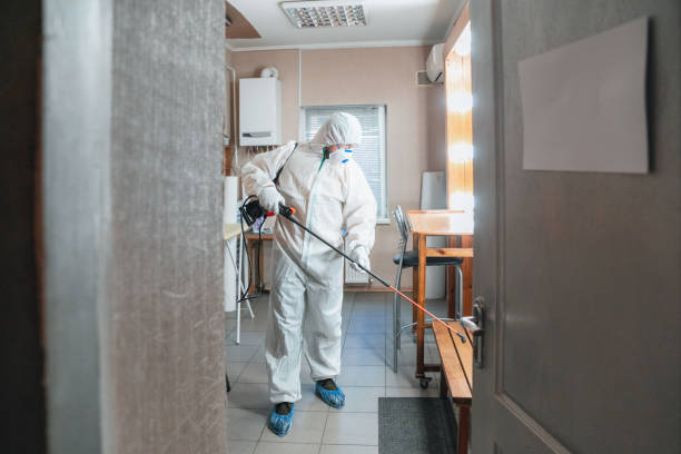 Best Crawl Space Mold Remediation  in Ranchester, WY