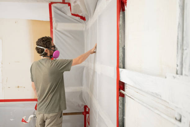 Best Black Mold Removal  in Ranchester, WY