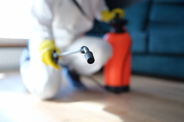 Best Residential Mold Inspection & Testing  in Ranchester, WY