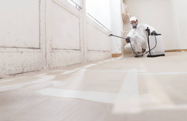 Best Industrial Mold Remediation  in Ranchester, WY