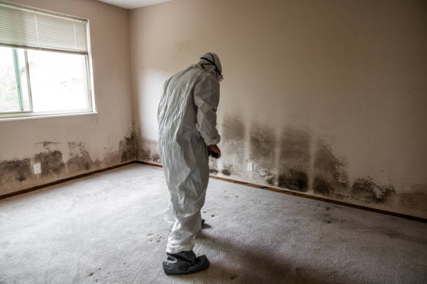 Mold Remediation for Rental Properties in Ranchester, WY