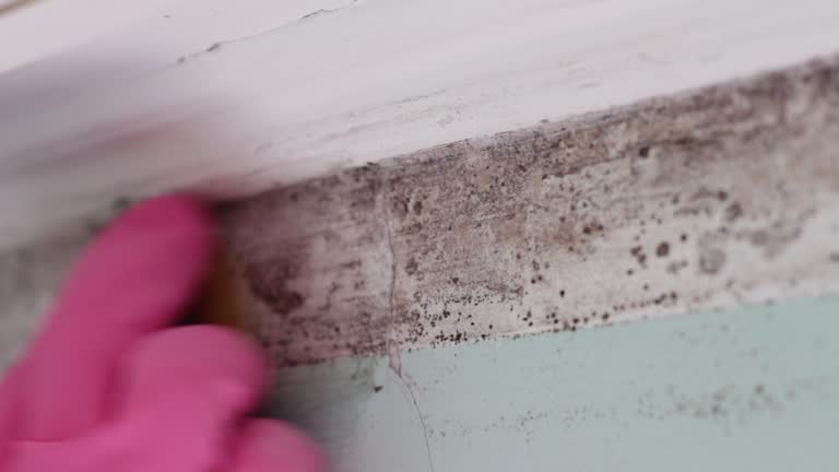 Best Indoor Air Quality Assessment  in Ranchester, WY
